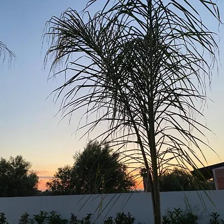 Lägenhet Per Vacanze Isola